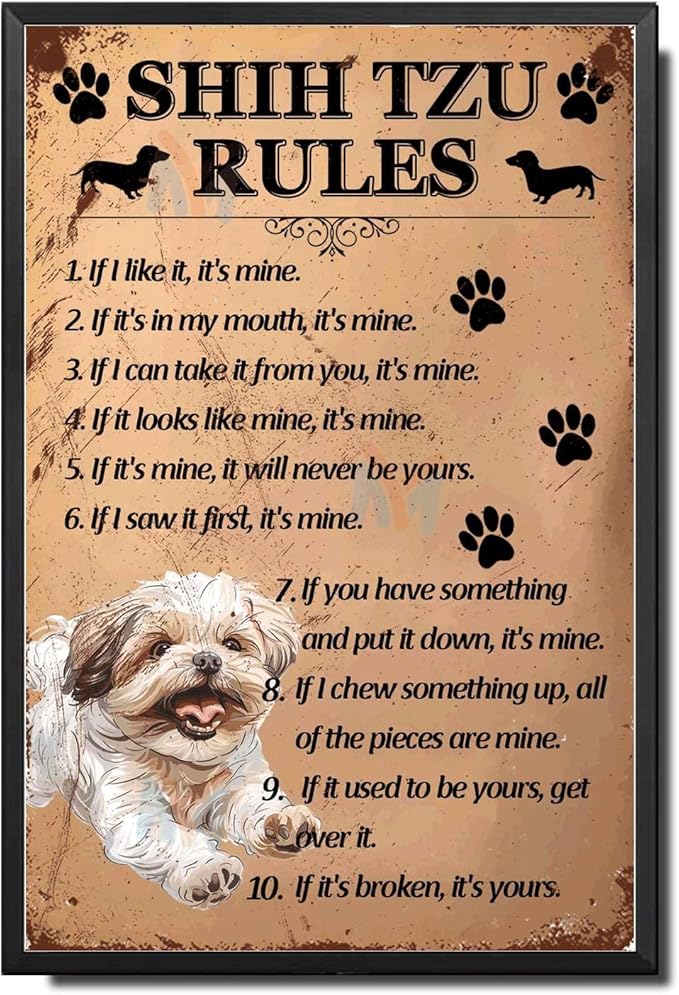 Metal Sign Tin Sign Vintage Wall Art Shih Tzu Rules Tin Signs for Women for Restaurant 12×16 Inches with Metal Frame
