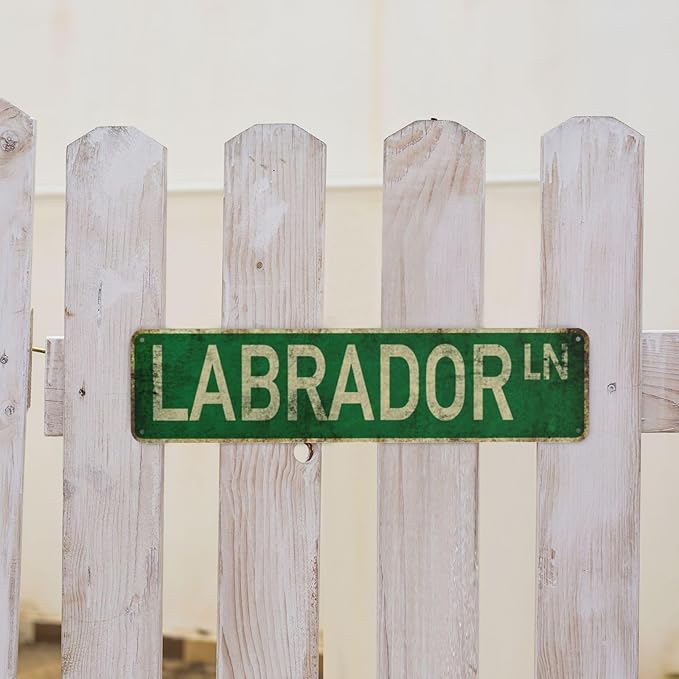 Vintage Signs Labrador Ln Sign Street Sign Retro Metal Sign for Home Bar Coffee Garden Indoor Ourdoor Decor,Aluminium 4x16 Inch
