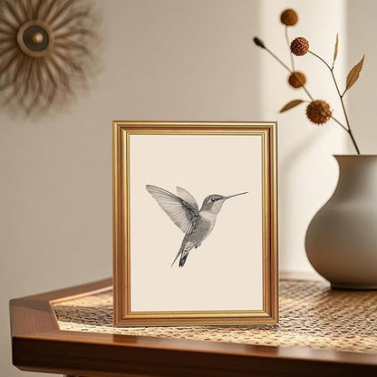 JLTULT Gold Framed Hummingbird Wall Art, Vintage Black White Sketch Wall Decor, Hummingbird Illustration Art Prints for Living Room Bedroom Office 8x10 Inches with Fade-Resistant Easy to Hang