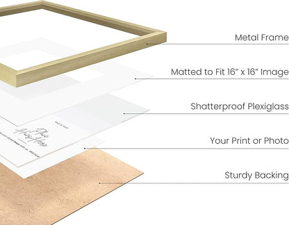 HAUS AND HUES 20x20 Gold Metal Picture Frames Matted to 16x16 - Premium Aluminum with Hanging Hardware, Shatterproof Plexiglass - Ideal for Home or Office (20x20 in, Gold, Set of 4)