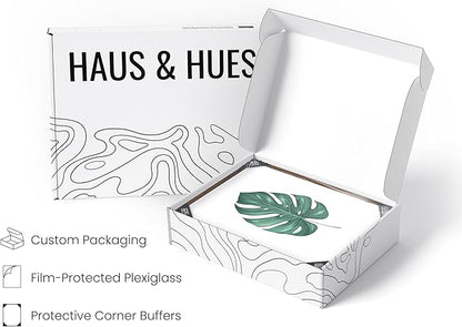 HAUS AND HUES Plant Wall Art - Botanical Prints Wall Art, Green Wall Art Collection Set Plant Pictures Wall Art, Leaves Paintings Minimalist Sage Green Wall Decor (11x14, Framed Walnut)
