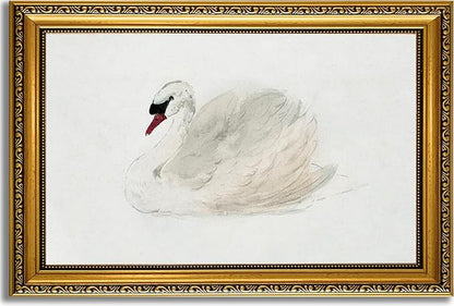 YD&YZY Gold Framed Vintage Wall Art Classic Swan Canvas White Swan Wall Decor Rustic Farmhouse Watercolor Retro Art Painting Picture Print Artwork for Bedroom Bathroom Office 16x24 inch Framed