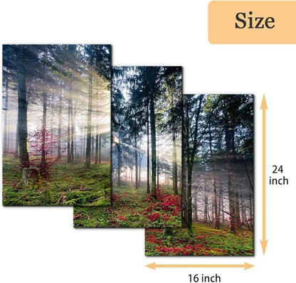 Pacimo 3 Pieces Canvas Wall Art Nature Landscape Sunrise Trees Pictures Painting Prints on Canvas Wall Decoration for Living Room Forest Framed Modern Artwork for Bedroom and Home Decor - 16"x24"x3