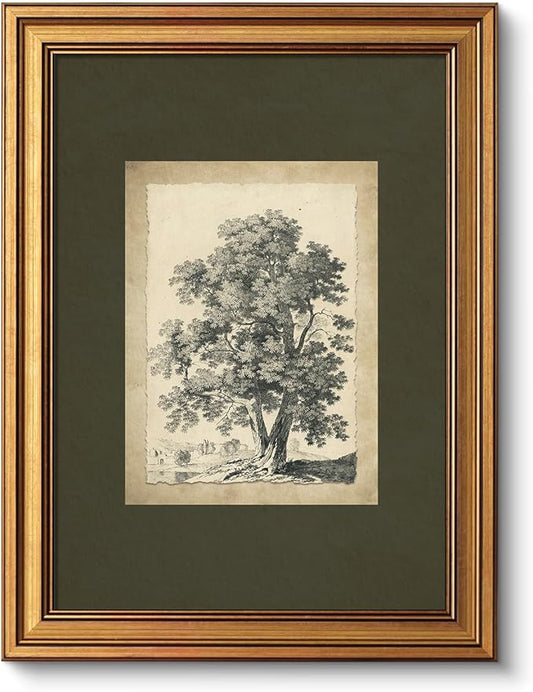 VIYYIEA Vintage Gold Framed Wall Art, Tree Forest Landscape Painting Canvas Prints, Green Gray Tree Natural Sketch Picture, Rustic Farmhouse Artwork for Living Room Bedroom Bathroom, 12x16inch