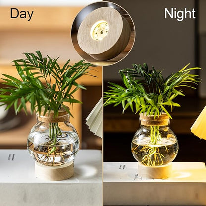 Propagation Stations, Plant Propagation Station with Light Base, Glass Propagation Vases, Hydroponic Vase for Plants, Glass Terrarium for Home Office Windowsill Tabletop Decoration (3)