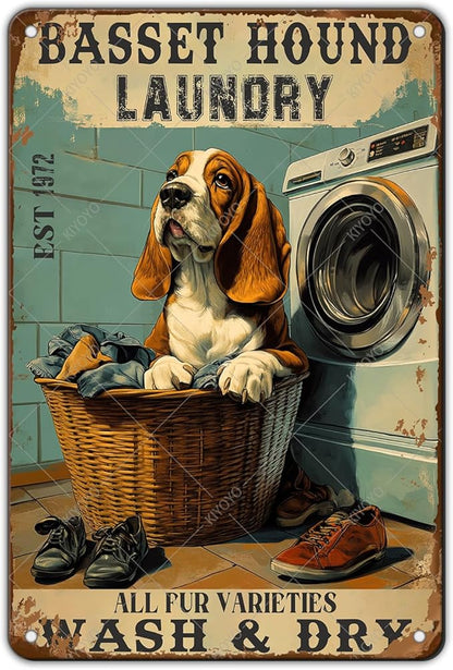 Retro Metal Poster Basset Hound Laundry Wash And Dry Metal Tin Signs Vintage Plaque Wall Decor Gift for Office Club Bar Home Kitchen 12x8 Inch