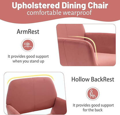 KCC Small Modern Dining Room Arm Chairs Set of 2, Mid-Century Upholstered Velvet Side Seat Club Guest with Metal Tube Legs for Kitchen, Living Room, Rose