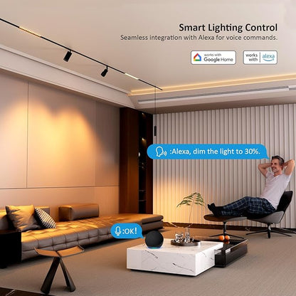 Grille Spotlight Magnetic Track Head, 24V 15W Dimmable LED Lamp for Track Lighting with APP & Remote Control, Adjustable Brightness & Color Temperature (3000K-6000K), LED Ceiling Lighting