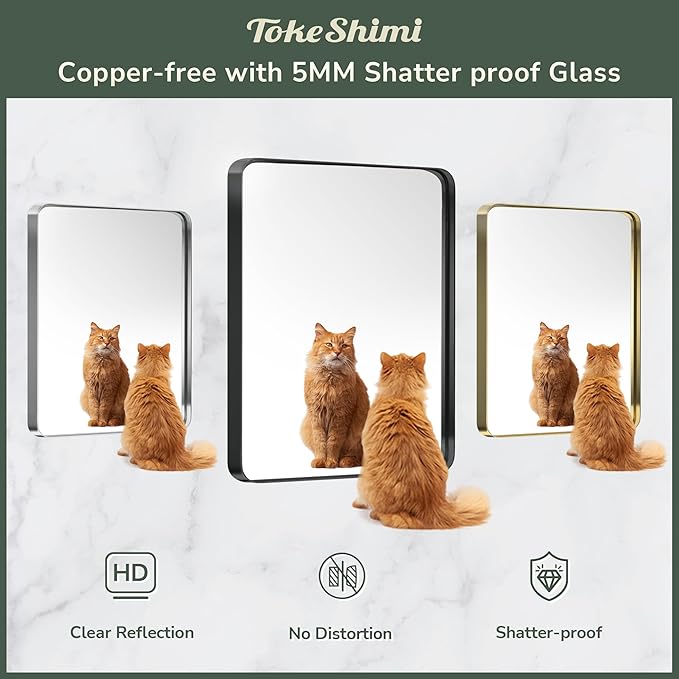 TokeShimi 60 x 40 Inch Brushed Gold Bathroom Vanity Mirror for Wall with Non-Rusting Aluminum Alloy Matte Metal Frame for Modern Farmhouse Home Decor (Horizontal/Vertical)
