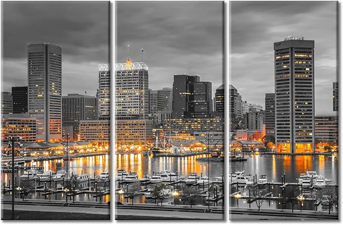 TUMOVO Baltimore City Skyline Canvas Wall Art 3 Panel American Cityscape Pictures Black and White Wall Art Beautiful Cityscape Modern Artwork Wall Decor Framed Ready to Hang (60" Wx40 H)