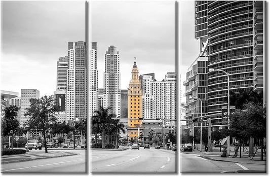 TUMOVO American Cityscape Canvas Wall Art Miami USA Downtown City Skyline Artwork Pictures Black and White Wall Art 3 Panel Posters and Prints Framed Ready to Hang (60" Wx40 H)