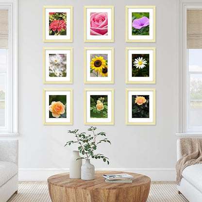 JCJMY 12 Packs 8.5 by 11 Picture Frames, Display 6x8 with Mat or 8.5x11 Without, for Award Certificate Diploma Document, 8.5 x 11 Frames Bulk Set of 12 Photo Frames Set for Wall and Tabletop, Gold