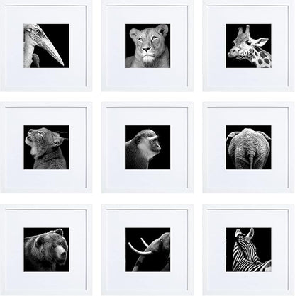 HEART ART 10x10 White Picture Frames set of 9, Display Photos 6x6 with Mat or 10 x 10 without Mat, Gallery Wall Frames Set
