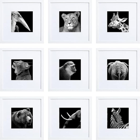 HEART ART 10x10 White Picture Frames set of 9, Display Photos 6x6 with Mat or 10 x 10 without Mat, Gallery Wall Frames Set