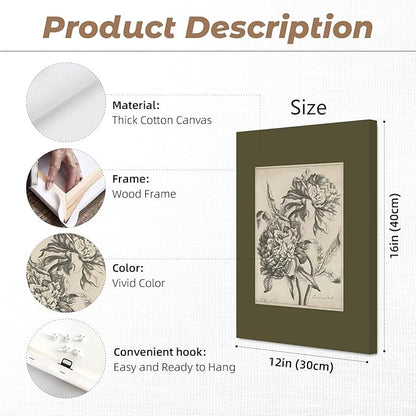 Vintage Floral Wall Art Sketch Flower Prints Antique Botanical Canvas Wall Art Decor Vintage Etchings Floral Poster Green Botanical Painting Sage Green Artwork for Bedroom 12x16x6 Inch Wrapped Canvas