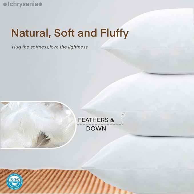 Down and Feather Euro Pillows Set of 1, Square Decorative Throw Pillows for Couch, Sofa, Chair, Bed,or Floor Cushions 28x28 (Inch, 28, 28x28)