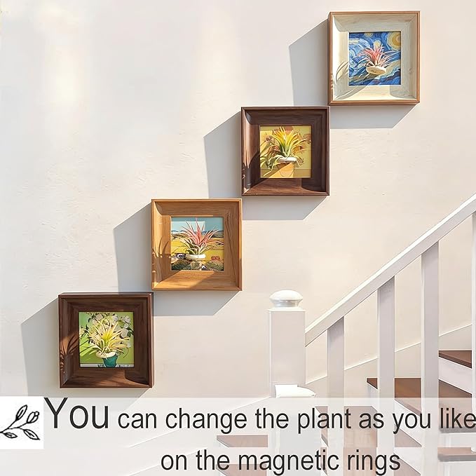 Set of 4 Van Gogh Painting & Air Plant Living Holder Stand Wall Art Decor 2-in-1 DIY 3D Magnetic Textured Airplant Frames with Famous Art Prints, Vintage Living Room Bedroom Wall Hanging Decorations