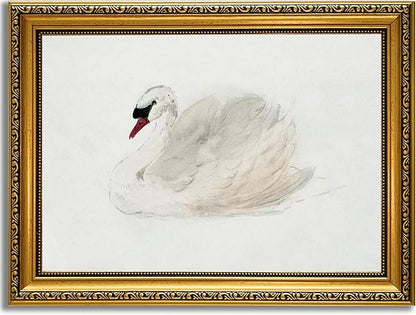 YD&YZY Gold Framed Vintage Wall Art Classic Swan Canvas White Swan Wall Decor Rustic Farmhouse Watercolor Retro Art Painting Picture Print Artwork for Bedroom Bathroom Office 12x16 inch Framed