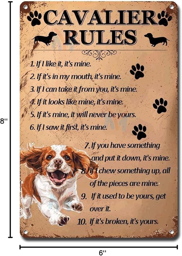 Metal Sign Tin Sign Vintage Wall Art Cavalier Rules Garage Sign for Room 6×8 Inches