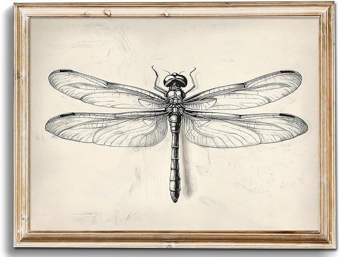 uniro Vintage Dragonfly Sketch Wall Art Prints Farmhouse Decor Neutral Insect Animal Wall Decor, Antique Dragonfly Sketch Drawing Canvas Oil Painting Vintage Artwork Pictures for Bedroom Living Room Decor (8" x 10"-UNFRAMED)