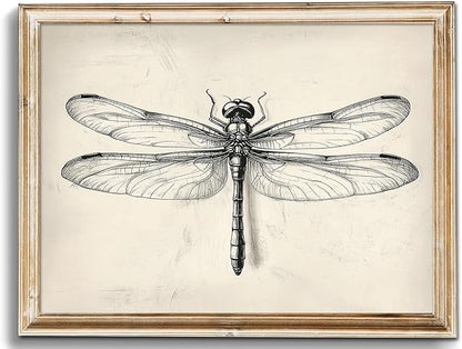 uniro Vintage Dragonfly Sketch Wall Art Prints Farmhouse Decor Neutral Insect Animal Wall Decor, Antique Dragonfly Sketch Drawing Canvas Oil Painting Vintage Artwork Pictures for Bedroom Living Room Decor (8" x 10"-UNFRAMED)