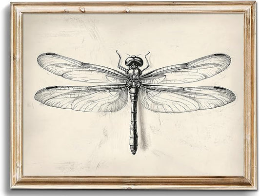 uniro Vintage Dragonfly Sketch Wall Art Prints Farmhouse Decor Neutral Insect Animal Wall Decor, Antique Dragonfly Sketch Drawing Canvas Oil Painting Vintage Artwork Pictures for Bedroom Living Room Decor (8" x 10"-UNFRAMED)