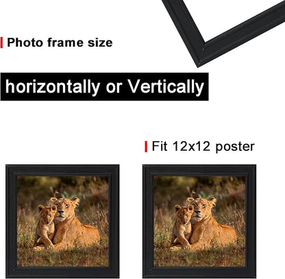 12x12 in Picture Frame set of 3, Horizontal and Vertical Formats for Wall Hanging, 12 x 12 Square Wall Gallery Black Poster Photo Frame with Shatter Resistant Plexiglass,best gift