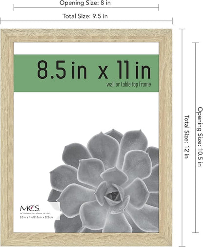MCS Gallery Essential Certificate Document Frame Set, Gallery Wall Frames Fit 8.5 x 11 Diplomas, Documents & Certificates, Natural Woodgrain, 2-Pack