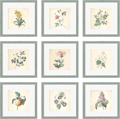 12x12 Picture Frame Set of 9, Display Pictures 8x8 with Mat or 12x12 without Mat, Multi Collage Gallery Square Photo Frames for Wall or Tabletop, Rustic Green