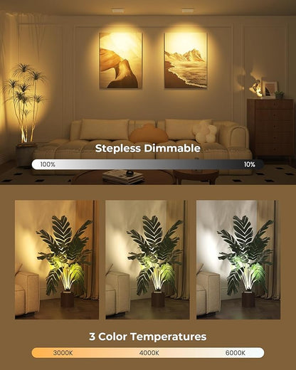 LED Spotlights Indoor, Rechargeable Uplights with Daily Auto Timer, 5500mAh Battery, 3CCT, Dimmable & Remote Control, Wireless Accent Lighting for Plants, Wall Display & Artwork