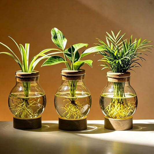 Propagation Stations, Plant Propagation Station with Light Base, Glass Propagation Vases, Hydroponic Vase for Plants, Glass Terrarium for Home Office Windowsill Tabletop Decoration (3)