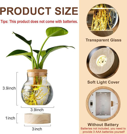 Propagation Stations, Plant Propagation Station with Light Base, Glass Propagation Vases, Hydroponic Vase for Plants, Glass Terrarium for Home Office Windowsill Tabletop Decoration (2)