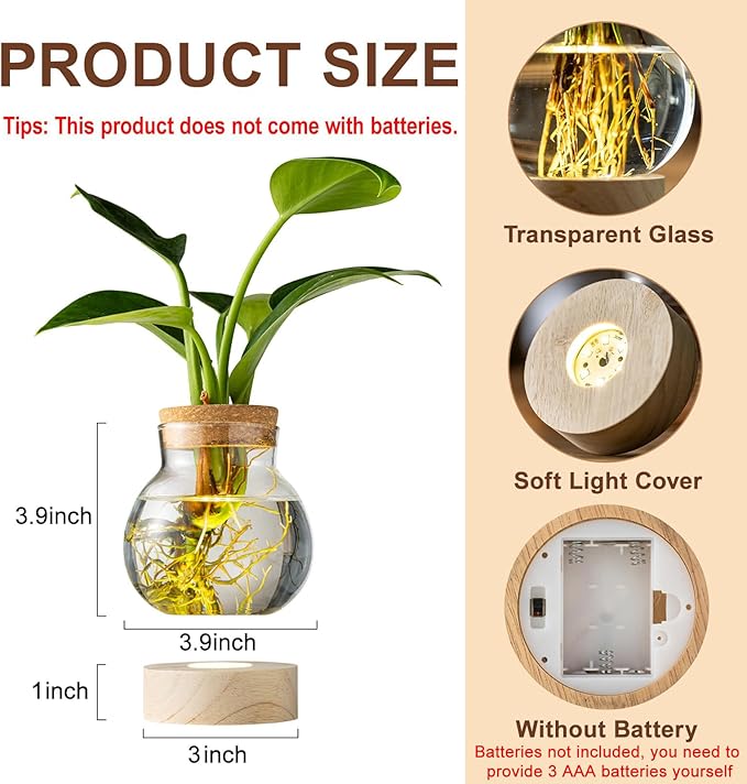 Propagation Stations, Plant Propagation Station with Light Base, Glass Propagation Vases, Hydroponic Vase for Plants, Glass Terrarium for Home Office Windowsill Tabletop Decoration (5)