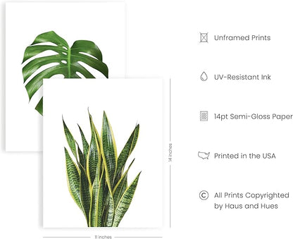 HAUS AND HUES Plant Photo Set of 4-11x14