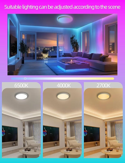 Smart Ceiling Light, 12 Inch RGBIC LED Flush Mount Ceiling Light Fixture, 2400LM, DIY Colors, Alexa & Google Compatible, 2200K-6500K for Bedroom, Living Room, White, 1 Pack