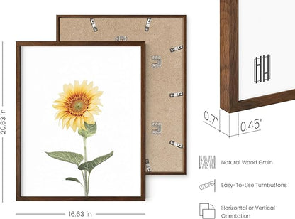 HAUS AND HUES Sunflower Set Collage 16x20 - Framed Walnut