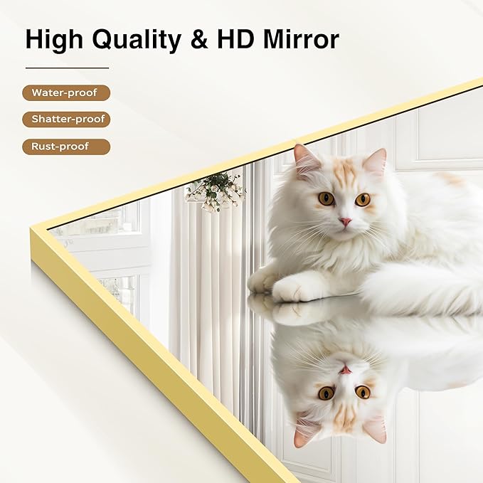 COFENY Gold Bathroom Mirror for Wall, 30x30 Inch Rectangle Mirrors with Metal Frame, Modern Vanity Wall Mirror Decor for Bathroom Living Room, Entryway Hangs Horizontal or Vertical