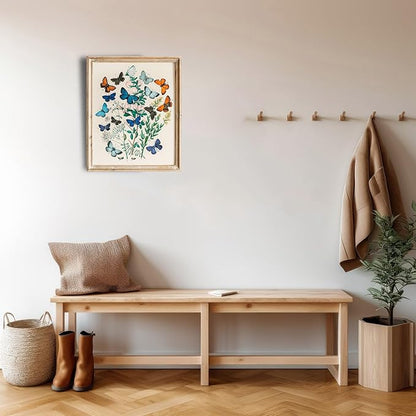 Vintage Butterflies Botanical Wall Art - Unframed - 11x14 | Detailed Illustration of Butterflies and Botanicals | Wall Decor for Nature Enthusiasts, Botanical Art Lovers, and Vintage Decor Collectors