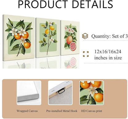 LHHJDIO 3 Piece Vintage Fruit Canvas Wall Art Trendy Kitchen Wall Art Boho Orange Lemon Grapefruit Pictures Wall Decor Citrus Botanical Art Prints for Dining Room Living Room 16"x24"