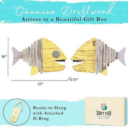 Driftwood Fish Nautical Wall Decor - Handmade Wooden Rustic Coastal Wall Art for Living Room, Bedroom, Office, Bathroom - Ocean Beach Decoration (Chomper)