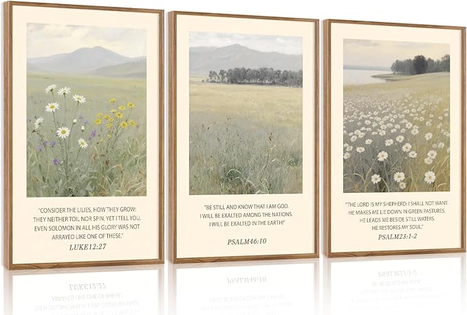 Aurlan Christian Bible Verses Scripture Framed Wall Art(16"x24"), 3PCS Boho Wildflowers Landscape Nature Canvas Artwork, Religious Luke12:27 Psalm46:10 Psalm23:1-2 Jesus Faith Gift Decor for Home Office Bedroom