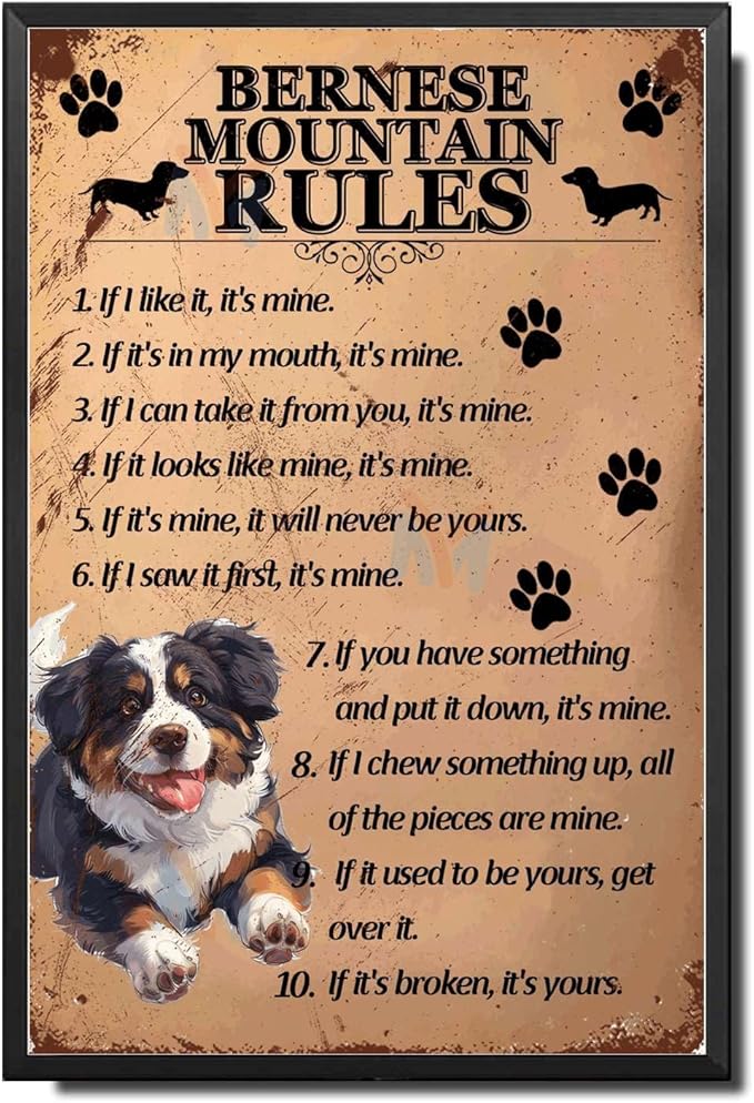 Metal Sign Tin Sign Vintage Wall Art Bernese Mountain Rules Home Deccor Store Home Decor for Room 8×12 Inches with Metal Frame