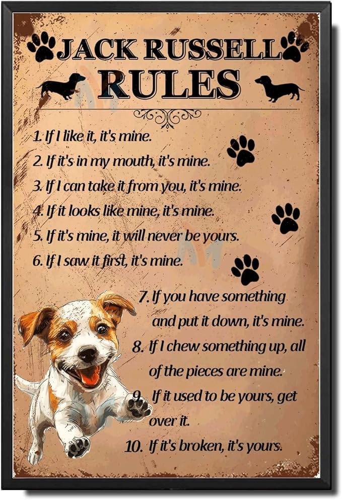 Metal Sign Tin Sign Vintage Wall Art Jack Russell Rules Metal Sign for Club 6×8 Inches with Metal Frame