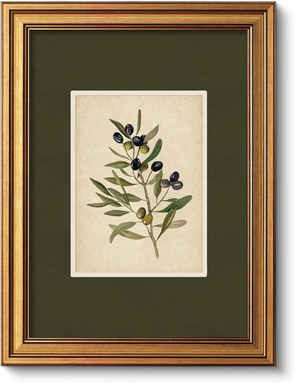 VIYYIEA Vintage Gold Framed Wall Art, Olive Canvas Painting, Vintage Olive Tree Decor for Kitchen, Farmhouse Aesthetic Botanical Pictures, Minimalist Canvas for Bedroom Bathroom Living Room, 12x16inch