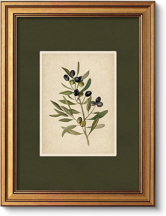 VIYYIEA Vintage Gold Framed Wall Art, Olive Canvas Painting, Vintage Olive Tree Decor for Kitchen, Farmhouse Aesthetic Botanical Pictures, Minimalist Canvas for Bedroom Bathroom Living Room, 12x16inch