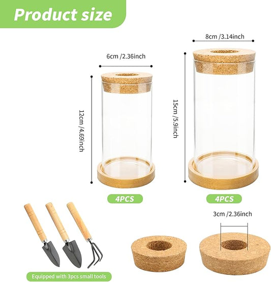 8 Pcs Plant Terrarium Desktop Glass Planter Plant Propagation Tabletop Propagation Vase Containers with Cork and Wooden Saucer for Growing Hydroponic Plants Garden Home Office Decor-