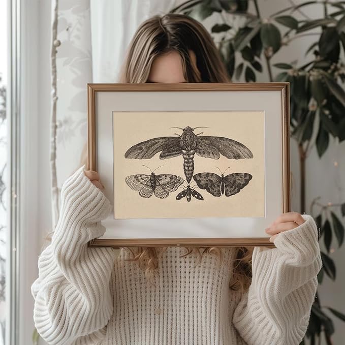 uniro Vintage Wall Art Prints, Moody Moth and Butterfly Wall Painting Canvas Prints, Antique Dark Cottage Room Decor Butterfly Sketch Oil Painting, Rustic Neutral Insect Aesthetic Wall Decor Vintage Art Pictures for Bedroom Gallery Bathroom Decor( 8" x...