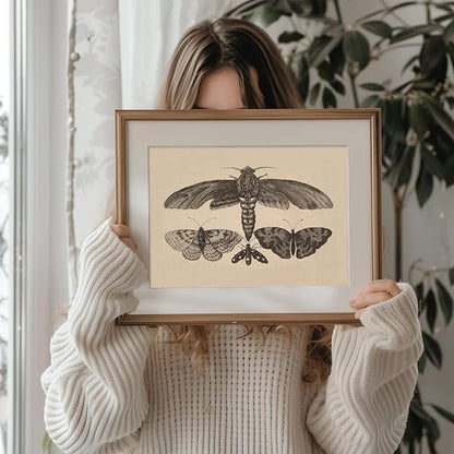 uniro Vintage Wall Art Prints, Moody Moth and Butterfly Wall Painting Canvas Prints, Antique Dark Cottage Room Decor Butterfly Sketch Oil Painting, Rustic Neutral Insect Aesthetic Wall Decor Vintage Art Pictures for Bedroom Gallery Bathroom Decor( 8" x...