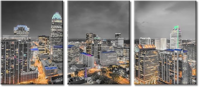 TUMOVO Charlotte North Carolina Skyline Black and White Wall Art 3 Pieces Nighttime Lightscape Bedroom Living Room City Skyline Wall Decor for Living Room Framed Ready to Hang (36" Wx16 H)