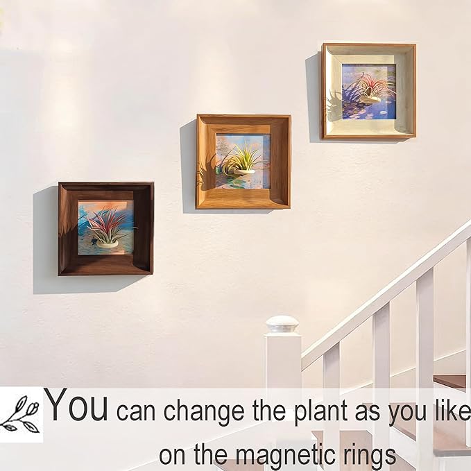3 Pack Magnetic Monet Wall Art & Air Plant Living Holder 2-in-1 (Impression Sunrise & Water-Lily & Spring by the Seine) DIY Frame Painting Prints Airplant Holder for Living Room Bedroom Office Decor